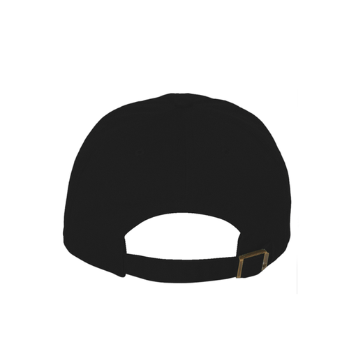 FØR Baseball Hat